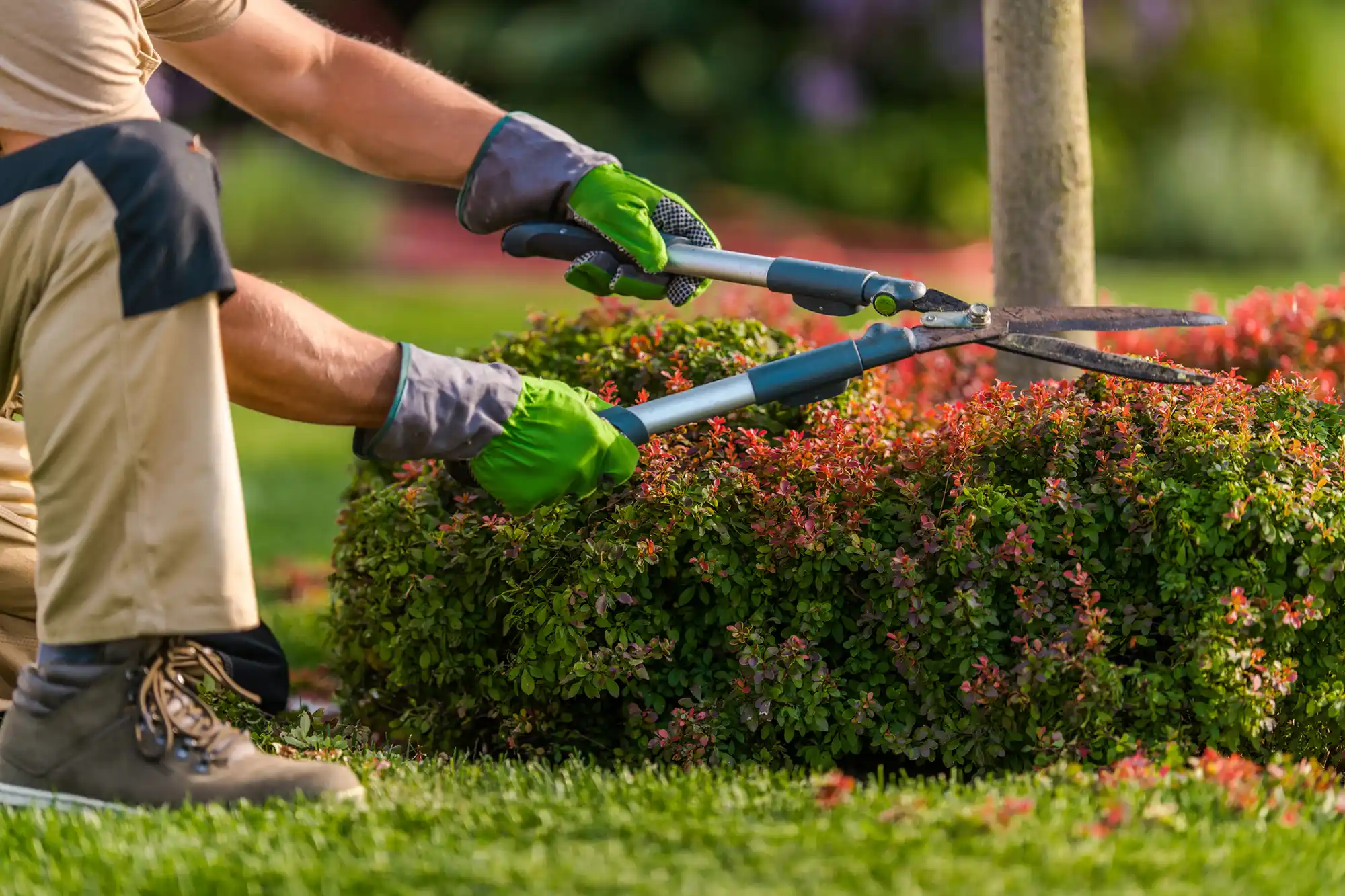 Landscaper
