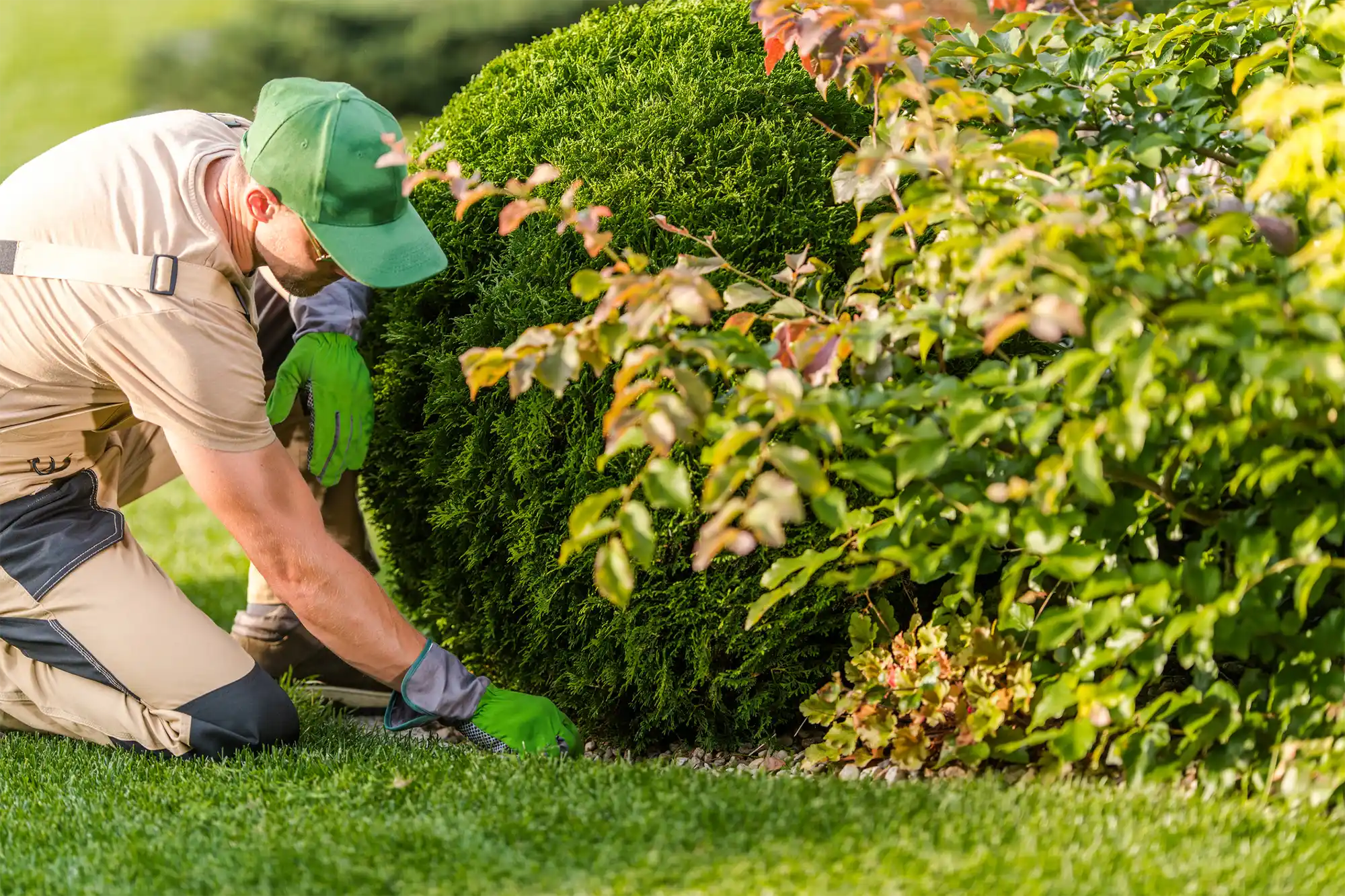 Landscaper