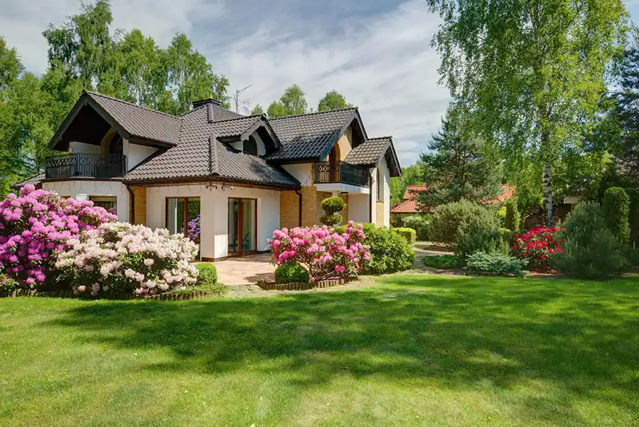 Landscape Contractor in El Cajon, CA