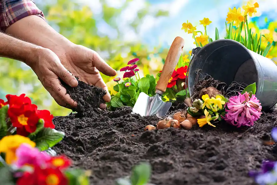 Planting